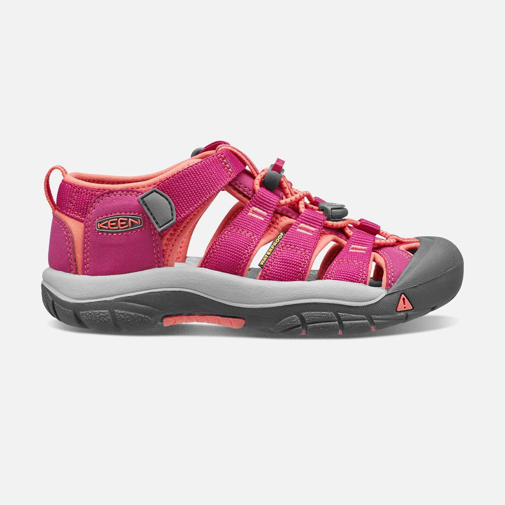 Sandalias Keen Mexico Rosas/Coral - Niños Newport H2 - KU8527963